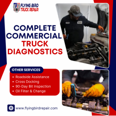 Ensure your truck’s peak performance with our expert Commercial Truck Diagnostics. We identify and fix issues efficiently for reliable and safe operations.
https://flyingbirdrepair.com/diagnostics-mil-lights/