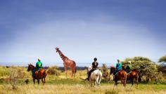 Scenic Horse Riding in Tanzania

Embark on a remarkable journey with Horse Riding in Tanzania, where you’ll explore stunning terrains and get close to wildlife. Signature Safari offers guided tours through the savannas and breathtaking countryside for an unforgettable equestrian adventure.    https://www.signaturesafari.com/tanzania-horse-riding