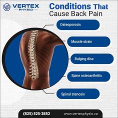 At Vertex Physio & Performance Centers in Edmonton, we help you uncover the underlying conditions causing your discomfort.From herniated discs and muscle strain to poor posture and arthritis, we provide tailored care to your needs.Explore effective treatment options and take the first step towards a pain-free life today!Contact Our Experts: https://bit.ly/3Tn4vGB , (825) 525-2852, southclinic@vertexphysio.ca 

#BackPainRelief #VertexPhysio #EdmontonPhysio #BackCare #YEGPhysio #EdmontonRehab #SpineHealth #ChronicPainRelief #InjuryRecovery #PainManagement #YEGHealth #RehabilitationCare #PostureCorrection #EdmontonWellness #BackPainCauses #RecoverStrong #HealthJourney #SpinalCare #MusclePainRelief #PainReliefTherapy #EdmontonRecovery