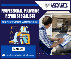 Trusted Plumbing Repair Services 

Waste lines can back up into your bathtub or sinks can cause flooding or overflowing toilets. Our experts using snake machines for a simple stoppage issue to detecting weaknesses in the lines and clear out stubborn blockages. Send us an email at info@loyaltyplumbingllc.com for more details.