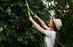 Searching for Best Tree Maintenance in Chertsey, then contact Surrey Fells Tree Service Ltd. They bring over 7 years of expertise in all aspects of tree work. Fully insured and dedicated to excellence, they specialize in Tree Removals, Pruning, Hedge Maintenance, and De-Vegetation. Whether it's reducing a tree's size, cutting hedges, maintaining your garden, or clearing vegetation, they ensure professional and meticulous service. Customer satisfaction drives them, and they take pride in delivering exceptional results. For more info. visit - https://maps.app.goo.gl/1PNkFnkbm8Zjqpq27