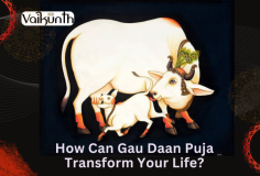 How Can Gau Daan Puja Transform Your Life?

With Vaikunth, you can ensure that your Gau Daan Puja is performed by skilled pandits, making the ritual even more special. Gau Daan is a powerful way to seek blessings for prosperity, health, and happiness. By donating a cow, you honor Lord Krishna, clear bad karma, and invite divine protection and good fortune into your life. 

Visit us- https://vaikunth.co/pujalist/gau-daan-puja