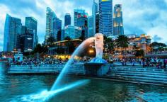 To visit Singapore, one needs a tourist visa which has a duration of 30 days and has a single-entry permit. You can apply for your Singapore tourist visa with us.
