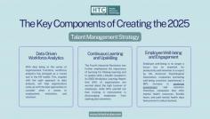 The 2025 talent management strategy emphasizes three key pillars: data-driven workforce analytics, continuous learning and upskilling, and prioritizing employee well-being.

Data-driven workforce analytics empowers organizations to understand their talent needs and gaps, while continuous learning and upskilling initiatives ensure employees possess the necessary skills for the future. Prioritizing employee well-being through mental health resources and flexible work arrangements fosters a positive and productive work environment, leading to increased engagement and retention.
