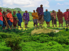 Combine Culture and Adventure in 8 Days

Experience Tanzania’s rich heritage and conquer its highest peak with our 8 Days Cultural Safari And Mount Kilimanjaro Hike. Immerse yourself in local traditions, explore vibrant villages, and then take on the thrilling challenge of Mount Kilimanjaro. This unique itinerary blends cultural exploration with the excitement of a mountain ascent. Perfect for adventurers and cultural enthusiasts, the 8 Days Cultural Safari And Mount Kilimanjaro Hike offers an unforgettable blend of experiences.   https://www.chalematanzaniasafaris.com/8-days-cultural-safari-and-mount-kilimanjaro-hike