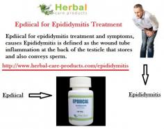 Epididymitis is a condition characterized by inflammation of the epididymis, a tube located at the back of the testicles that stores and carries sperm. While this condition can cause discomfort and affect daily life, natural treatments may help alleviate symptoms alongside medical advice. Here, we explore holistic remedies and lifestyle adjustments to manage epididymitis naturally.
