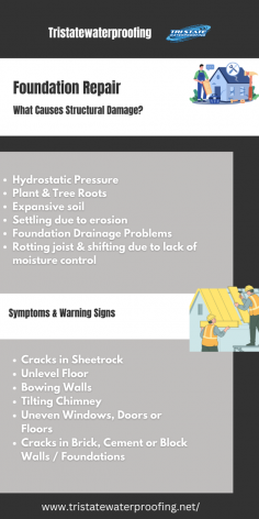 This image provides an overview of the common causes of structural damage to building foundations, as well as the symptoms and warning signs to look out for. It covers issues like hydrostatic pressure, plant and tree root growth, expansive soil, erosion, drainage problems, and rotting joists due to lack of moisture control. The information is presented in a clear and concise manner, making it easy for homeowners to understand the potential issues that can affect the structural integrity of their home's foundation.