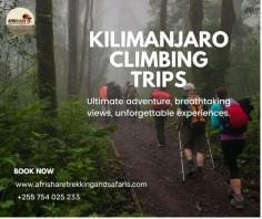 Embark on unforgettable Kilimanjaro climbing trips with Afrishare Trekking and Safaris. Experience expertly guided treks, personalized itineraries, and breathtaking views as you conquer Africa’s tallest peak. Our professional team ensures safety, comfort, and an eco-friendly adventure. Book your Kilimanjaro climb today with Afrishare Trekking and Safaris for a life-changing journey to the Roof of Africa.
For more info, visit: 
https://www.afrisharetrekkingandsafaris.com/mt-kilimanjaro-trekking-tours/