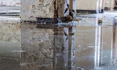 As a leading water damage company in Wapato, we offer fast and reliable services to mitigate and repair water damage, ensuring your property is safe and secure.