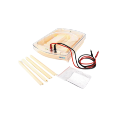 Advalab Cellulose Acetate Film Electrophoresis Cell offers optimal performance with a 1000 ml buffer volume for stable ionic strength. It features adjustable sticks for different carriers, adjustable legs for convenience, and a polycarbonate lid for flexible movement.