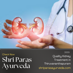 Kidney health is essential to overall well-being, and timely, effective treatment can make all the difference when dealing with renal issues. In Shri Paras Ayurveda Thiruvananthapuram, you can access high-quality kidney treatment at affordable prices, thanks to the city’s growing medical infrastructure and highly skilled nephrologists. Whether you need diagnostic testing, treatment for kidney disease, dialysis, or even a kidney transplant, this guide highlights how you can receive top-tier care without breaking the bank. https://www.shriparasayurveda.com/ayurvedic-kidney-treatment-in-thiruvananthapuram/