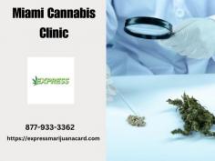 Miami Cannabis Clinic is a leading healthcare provider specializing in medical cannabis treatments for patients seeking alternative solutions to manage their health conditions. Located in the vibrant city of Miami, the clinic is committed to offering professional care in a welcoming and confidential setting
 Visit for more : https://expressmarijuanacard.com/miami/
