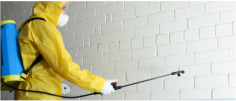 At The Pest And Termite Co., you can expect us to offer second-to-none Pest Control Hope Island. Having acquired a pest control license and undertaken rigorous training, our team can handle any pest issue on your property. Not only do we possess the right expertise, but we also use cutting-edge equipment to provide the quality service you deserve. We offer customised pest control solutions wherever you are in Queensland. Click Here