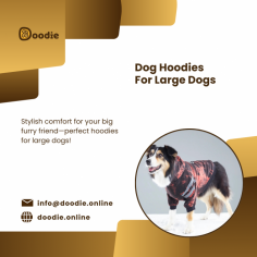 Explore trendy dog hoodies for large dogs

Check out Doodie’s dog hoodies for large dogs. These hoodies are specially designed for bigger breeds, offering comfort, warmth, and a stylish look for your furry companion.