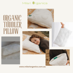      Affordable Toddler Pillow : A Budget-Friendly Options for Every Parents

Finding the perfect toddler pillow doesn’t have to break the bank. Brands like Milari Organics offer high-quality, affordable options, ensuring your little one gets the comfort they need without compromising on safety. An organic toddler pillow from Milari Organics is an excellent choice for parents looking to prioritize natural materials for their child’s health. These pillows are crafted to provide gentle support for growing heads and necks, making them ideal as a toddler kids pillow for daily use. With an organic toddler pillow, you can give your child the best start to restful nights while staying within your budget. 

 Visit our website for more information : https://milariorganics.com.au/products/organic-wool-toddler-pillow
