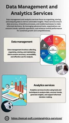 
Data management and analytics services focus on organizing, storing, and analyzing data to derive actionable insights. These services ensure data accuracy, streamline processes, and enable businesses to make informed decisions. By leveraging advanced tools, organizations can uncover trends, optimize operations, and enhance overall performance for sustained growth and competitiveness.
