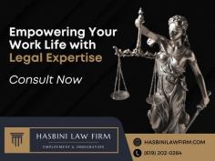 Hasbini Law Firm provides individualized legal guidance to meet each client's specific needs. As your expert San Diego Employment Lawyer, we ensure that you understand the law and how it pertains to your specific case. Our strategy is on education to ensure that you are well-informed and confident about your legal options. Once you have a clear understanding, we will consult with you to determine the best course of action for a successful outcome.