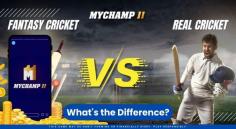 Fantasy Cricket: Be the strategist! Build your dream team, earn points, and test your cricket knowledge.
 Real Cricket: Feel the thrill of live-action, watch iconic moments, and cheer for your favorite players.
Both celebrate the love for cricket, but how you play is up to you! Which one’s your pick?

https://mychamp11.co.in/fantasy-cricket-vs-real-cricket-whats-the-difference/