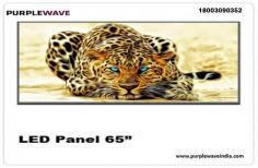 https://www.purplewaveindia.com/led-panels-65.html