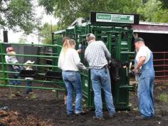 Looking for a reliable feeding solution for your livestock? The Lakeland Heavy-Duty Round Bale Feeder is designed specifically for efficient feeding of round bales to cattle. Built with durable materials, this feeder minimizes hay waste, ensuring your cows get the nourishment they need while saving you money. The open design allows for easy access, promoting healthy feeding habits and reducing crowding.

Upgrade your feeding system with the best round bale feeder for cows on the market today! Durable, practical, and built to last—your livestock will thank you.