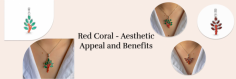 Unlocking the Secrets of Red Coral: Meaning, Astrology, and Healing Benefits

Unlike other gemstones, the Red Coral is mainly found in the Mediterranean Sea, also sourced from the Atlantic, Italy, and Japan but can’t be mined. It holds spiritual and symbolic significance intertwined with traditional to modern cultures, which are often used in amulets or jewelry. In ancient Rome, coral was considered a talisman for protection against black magic, negative thoughts, bad karma, and evil eye. Mostly Romans wore Red Coral Pendants for embellishment and divine power. The pendant from antiquity to the present era earned popularity in the fashionable world and was thought to destroy body impurities. An acknowledged and demanded gemstone, Red Coral is prized as a tremendous stone for its healing qualities that can be categorized into physical, mental, and emotional aspects. Uncover the secret behind shimmering red coral healing properties and understand the fact that the gems are not just accessories but add a touch of magic with their holistic energy.
