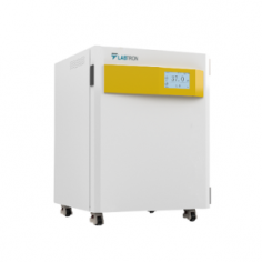 Labtron Air-Jacketed CO₂ Incubator offers a 189L capacity with a temperature range of 25-55℃ and 0-20% CO₂ control using an infrared CO₂ sensor. It features a HEPA filter, 6-sided heating, dry heat sterilization, a touch screen, and an over-temp alarm for precise management.
