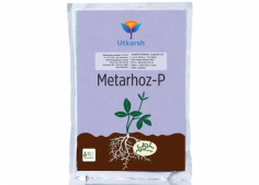 Protect your plants with Utkarsh Agrochem’s powerful insecticides, specially formulated for effective pest control. Our insecticides for plants ensure the health and growth of your crops, flowers, and garden by eliminating harmful insects while being safe for the environment. Made with advanced, plant-friendly ingredients, Utkarsh Agrochem products are reliable and easy to use, offering long-lasting protection. Give your plants the care they deserve with Utkarsh’s high-quality solutions. Keep your garden thriving and pest-free with Utkarsh Agrochem’s trusted insecticides.
Explore now: https://utkarshagro.com/collections/bio-insecticides