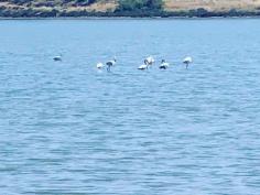 The Akamas National Park is possibly the most picturesque corner of the island. Akamas peninsula is where you will find wild landscape, amazing

See more: https://eos-tour.com/one-day-tours-paphos/