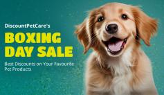 Shop DiscountPetCare's Boxing Day Sale for unbeatable discounts on pet products. Save big on your favorite brands. Hurry, these deals won’t last!