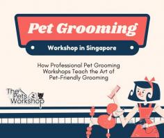 By emphasizing pet-friendly techniques, professional pet grooming workshops prepare participants to deliver exceptional care while maintaining the well-being and happiness of the animals they groom.

Groom Your Pets: https://www.thepetsworkshop.com.sg/