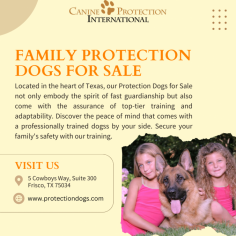 Looking for your furry best friend AND a bodyguard? Look no further! Protection Dogs Please provides top-notch protection dogs trained to keep you and your loved ones safe. We offer everything from personal companions to home security experts. Visit Us: https://www.protectiondogs.com/