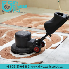 Rug Cleaning Mississauga | Dry Cleaning Pros

At Dry Cleaning Pros, we offer professional rug and carpet cleaning services that restore the beauty and freshness of your home or office. We effectively remove dirt, stains, and odors from all rugs and carpets using advanced cleaning techniques and eco-friendly products. Our expert team ensures deep cleaning while preserving the fabric’s integrity. Whether for residential or commercial spaces, Dry Cleaning Pros provides reliable, high-quality Rug Cleaning in Mississauga. To learn more, call +1 (905) 279–8885.

Our website: https://drycleaningpros.ca/services/rug-carpet/
