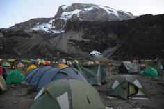 Group Kilimanjaro Climbs Made Easy
Join our Kilimanjaro Joining Group adventures for flexible and affordable climbing experiences. With weekly group departures, guaranteed schedules, and expert-guided treks, we cater to climbers of all levels. Prefer a private tour? We’ve got you covered. Book your Kilimanjaro Joining Group climb today and conquer Africa’s highest peak with ease.    https://www.signaturesafari.com/best-kilimanjaro-trekking-group-join-with-signature-safari