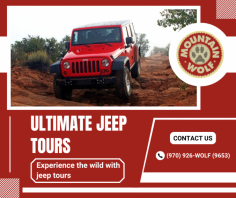 Adventure Jeep Tours for Thrills

We offer thrilling Jeep tours through scenic landscapes, guiding you to hidden gems, rugged terrain, and breathtaking views for an unforgettable adventure in nature. For more details, call us at (970) 926-WOLF (9653).