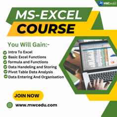 Master Microsoft Excel with comprehensive skills in data analysis, formulas, pivot tables, and chart creation to boost productivity and decision-making. Learn essential techniques for managing and visualizing data efficiently.