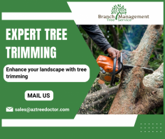 Comprehensive Tree Trimming Solutions

Our tree trimming service ensures healthy growth and enhanced aesthetics for your trees. We provide professional, efficient, and safe trimming to maintain your landscape's beauty. For more information, call us at 480-970-1315.