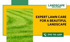 Nurture Your Lawn for Vibrant Growth

Get the services of a Lawn Maintenance Company in Cary to help maintain your yard. Our services range from mowing to fertilizer application to ensure your lawn achieves its best appearance and health. At Landscape Solutions, we have all your lawn care needs handled so that you can always have a neat and well-trimmed compound. Call us today!