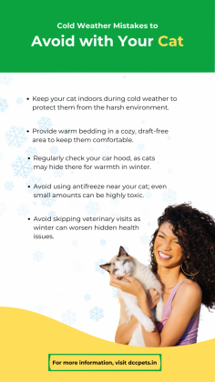 Protect your cat during winter by avoiding common cold weather mistakes. Keep them warm, safe, and healthy this season with these helpful tips. For more deatils visit https://dccpets.in/pet-care-blog/cold-weather-mistakes-to-avoid-with-your-cat