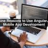 Top Nine Reasons to Use AngularJS for Mobile App Development
The sataware organization byteahead is evolving web development company with app developers near me multiple hire flutter developer languages ios app devs and a software developers frameworks, software company near me which software developers near me makes it good coders totally 