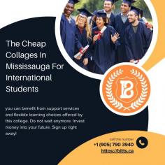 Being a diverse city, Mississauga makes it easy for international students to blend in. Are you trying to find cheap colleges in Mississauga for international students? When it comes to prices, BITTS International Career College is the most affordable. You can make your dreams true without sacrificing the quality of your education by enrolling in affordable diploma and certificate programs. Besides, you can benefit from support services and flexible learning choices offered by this college. Do not wait anymore. Invest money into your future. Sign up right away!    https://bitts.ca/