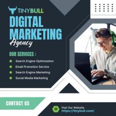 Top Reasons TinyBull is the Best Digital Marketing Company in the USA
Discover why businesses trust TinyBull for success. As the best digital marketing company in the USA, we provide data-driven strategies to maximize your ROI.