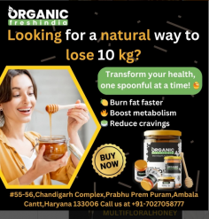 Looking for a safe and natural way to shed 10 kg? Organic Fresh India’s 100% pure, multifloral honey is your perfect companion! Just one spoonful daily can:
