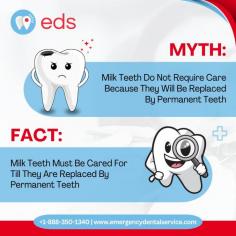 Myth Vs Fact | Emergency Dental Service

The common myth is that milk teeth do not require care because they will be replaced by permanent teeth. However, the fact is that milk teeth must be cared for until they are naturally replaced by permanent teeth. It’s important to maintain proper oral hygiene for overall dental health. Schedule an appointment at 1-888-350-1340.

