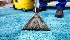 Reliable Residential Carpet Cleaning

Eagle Duct Cleaning provides superior residential carpet cleaning services in Washington DC. Enjoy clean, fresh carpets around your home, thanks to our expert team and advanced cleaning methods. Call (855) 6400-404 or email us at eagleservicesmd@gmail.com today!    https://eagleductcleaning.com/carpet-cleaning-2/