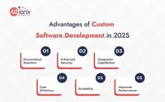 Discover the advantages of custom software development in 2025! Tailored solutions ensure your business needs are met with personalized features, enhanced security, seamless integration, and long-term cost efficiency. Explore how scalable, high-performance software can optimize your operations and drive growth.

More Read:- https://www.albiorixtech.com/blog/custom-software-development-advantages-2025/