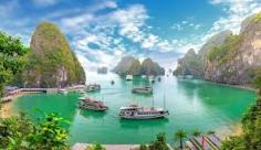 Our services make applying for your Vietnam tourist visa simple and efficient. We guide you through each step of the process, ensuring you meet all visa requirements
