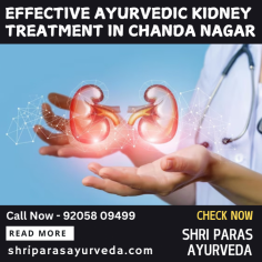 Experience Ayurvedic kidney treatment in Chanda Nagar for a natural approach to kidney health. Our expert practitioners use time-tested herbal remedies and detox therapies to support kidney function and overall well-being. With personalized treatment plans, we aim to heal and restore balance in your body. Trust Ayurveda for safe, effective, and holistic kidney care. Visit us today to learn more about our specialized treatment services for kidney health. https://www.shriparasayurveda.com/ayurvedic-kidney-treatment-in-chanda-nagar/