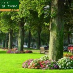 Is your lawn in need of a polished appearance? Discover the finest grass-cutting services available in your vicinity. Cut and Trim provides expert lawn mowing, edging, and additional landscaping services. Visit our website: - https://www.cutandtrim.com/ground-maintenance-service/