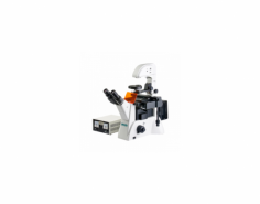 Labtro Inverted Fluorescence Microscope features a trinocular viewing head, ergonomic wide field eyepieces, a coaxial coarse and fine focusing system, and 6 achromatic objective lenses, providing precise and efficient imaging for advanced fluorescence applications.