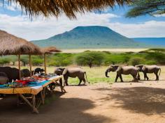 Affordable Tanzania Safari Deals

Discover Tanzania's wildlife with Chalema Tanzania Safaris at an affordable cost. Our expertly designed packages provide exceptional safari experiences without stretching your budget. Explore iconic destinations like Serengeti, Ngorongoro, and Tarangire while enjoying comfort and top-tier service. Let us make your dream safari adventure both memorable and cost-effective. Contact us today to learn more about our Tanzania Safari Cost and plan your adventure.   https://www.chalematanzaniasafaris.com/tanzania-safari-cost